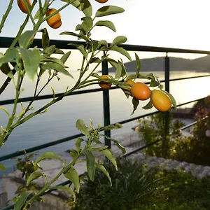  Maison d'hôtes Panorma Albanie